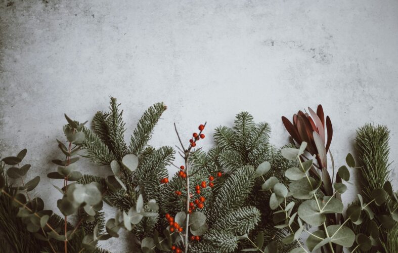 Liste de Noël de Léo – Cadeau à choisir au hasard…