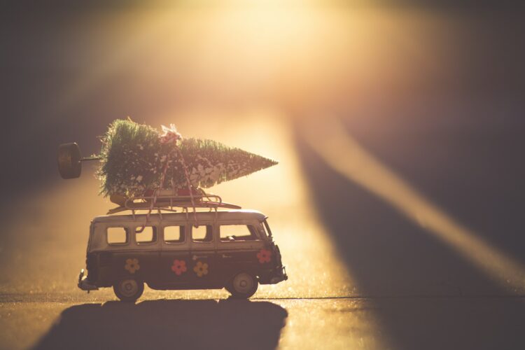 Liste de Noël de Camille