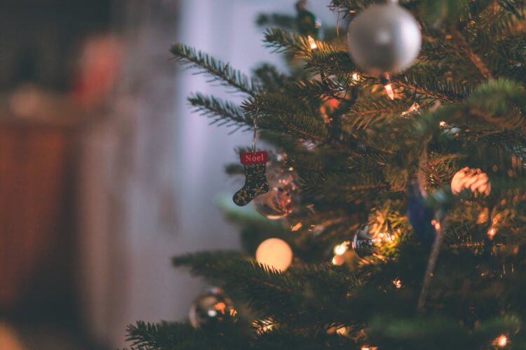 Liste de Noël de Fatia